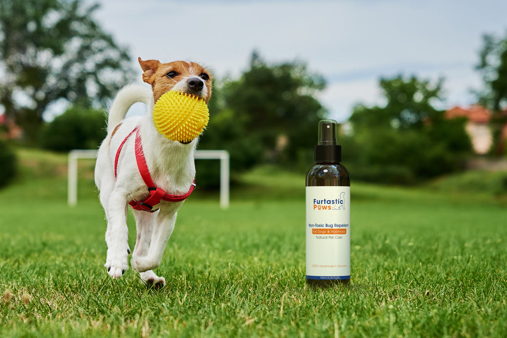 Furtastic Paws Non-Toxic Bug Repellent - For Dogs and Humans