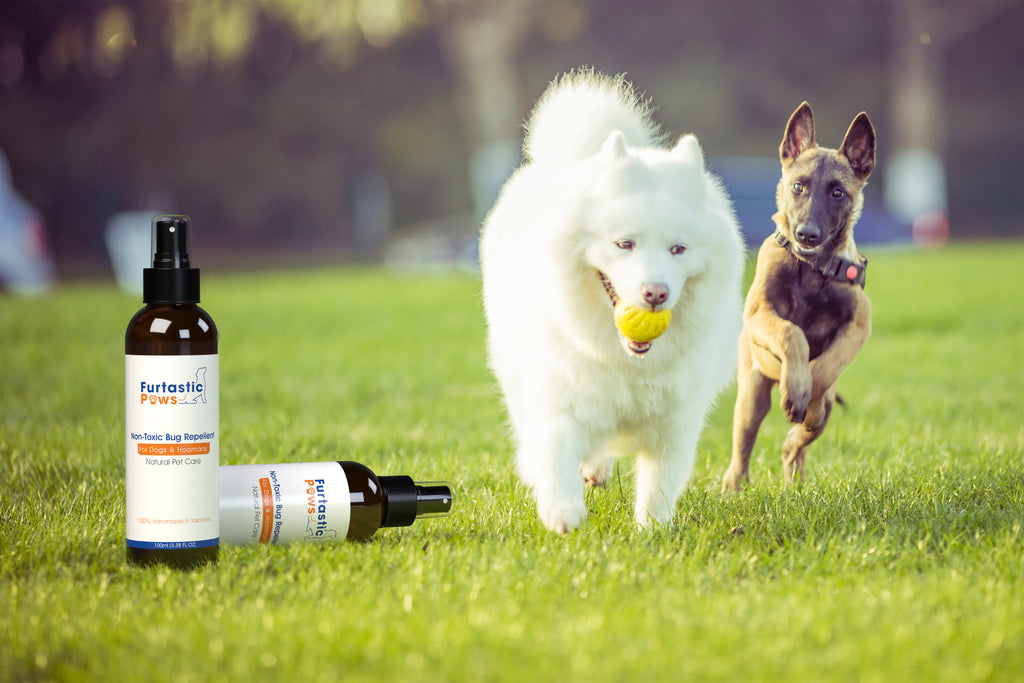 Furtastic Paws Non-Toxic Bug Repellent - For Dogs and Humans