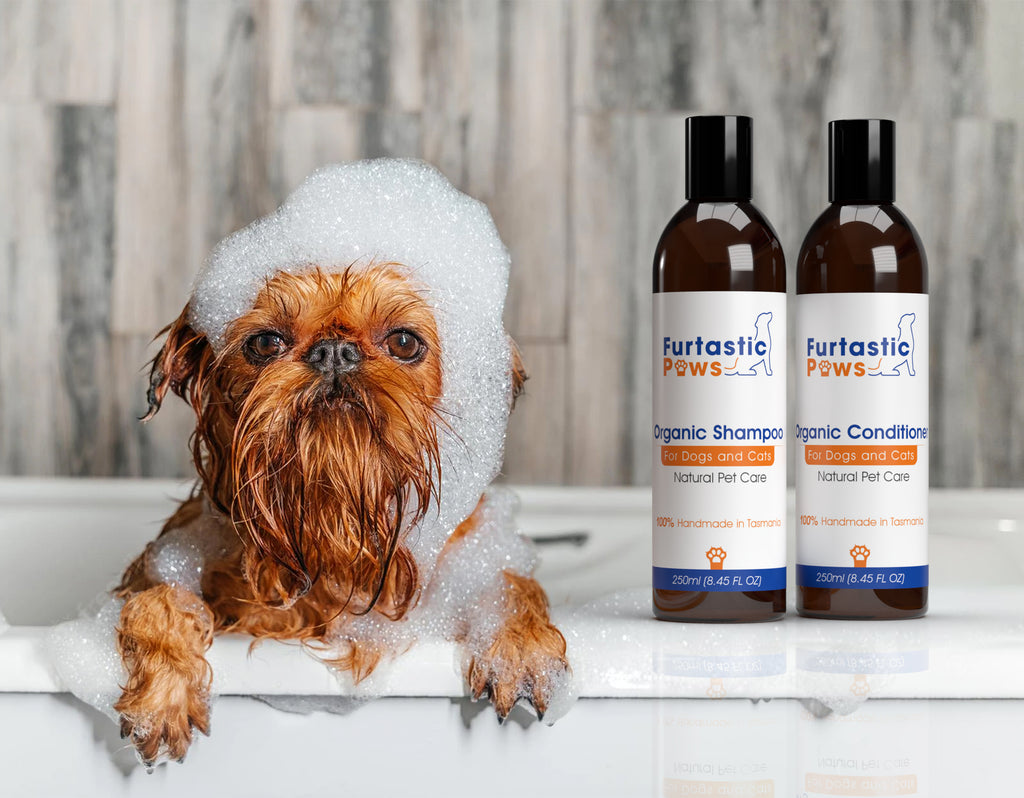 Furtastic Paws Organic Conditioner - For Dogs & Cats